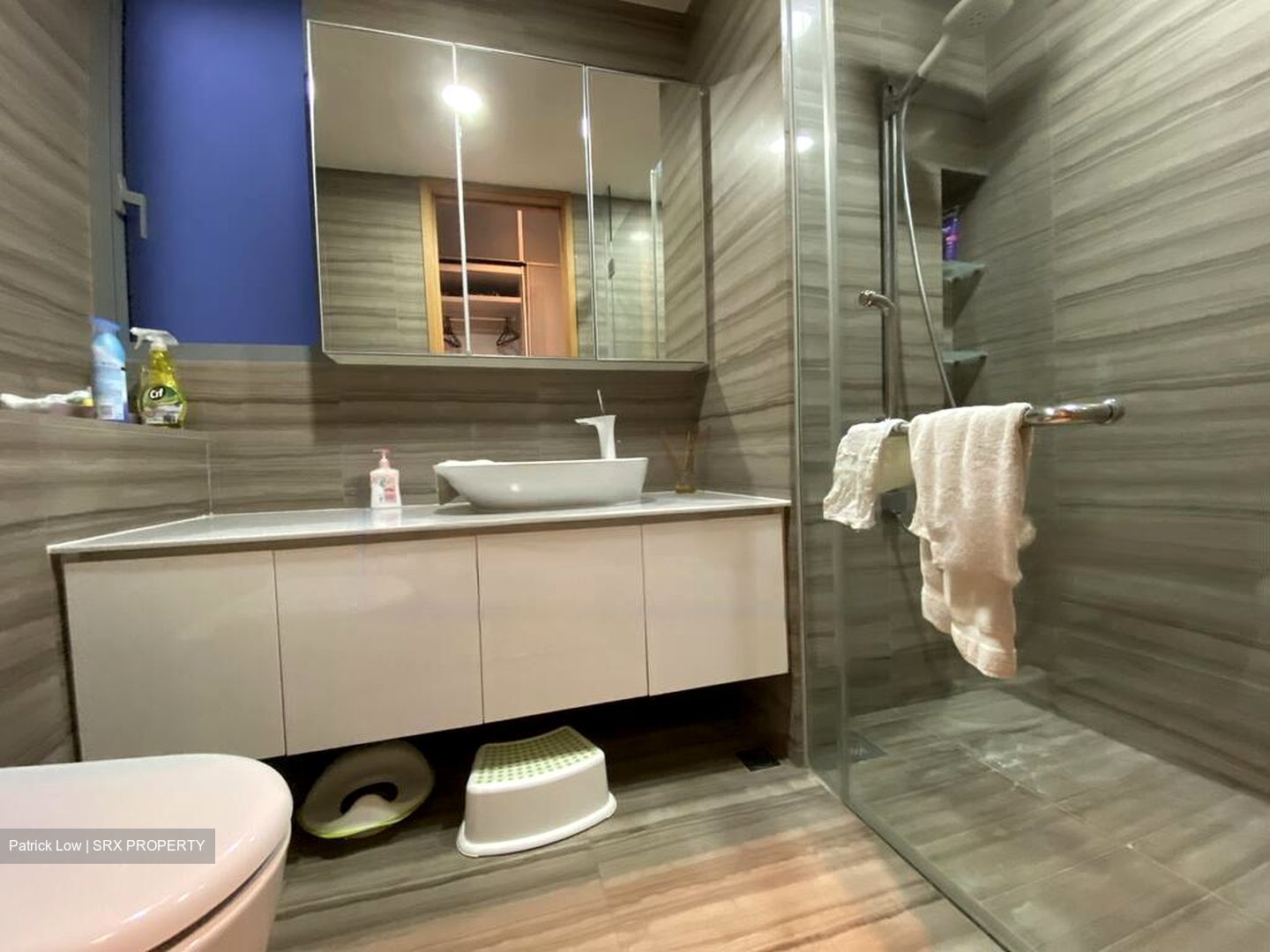 Mon Jervois (D10), Condominium #424639861